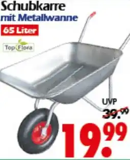 Wreesmann Schubkarre mit Metallwanne Top Flora Angebot