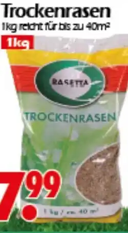 Wreesmann Trockenrasen RASETTA Angebot