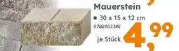 Globus Baumarkt Mauerstein Angebot
