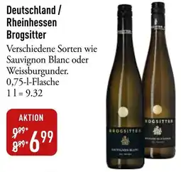 Galeria Markthalle Deutschland/ Rheinhessen Brogsitter Angebot