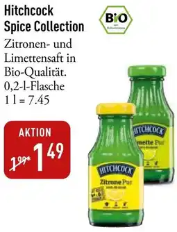 Galeria Markthalle Hitchcock Spice Collection Angebot