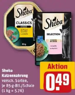 REWE Sheba Katzennahrung Angebot