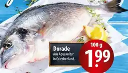 Famila Nord Ost Dorade Angebot