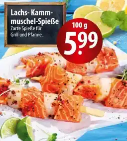 Famila Nord Ost Lachs-Kammmuschel Spieße Angebot