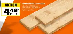 OBI TERRASSENDIELE DOUGLASIE Angebot