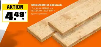 OBI TERRASSENDIELE DOUGLASIE Angebot