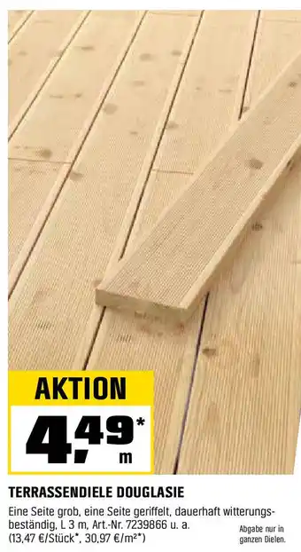 OBI TERRASSENDIELE DOUGLASIE Angebot