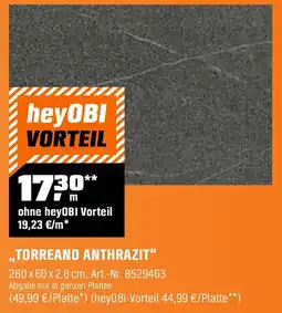 OBI ,,TORREANO ANTHRAZIT" Angebot