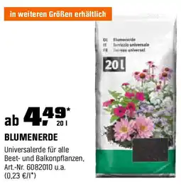 OBI BLUMENERDE Angebot