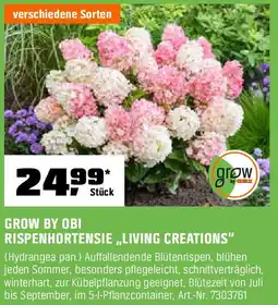 OBI GROW BY OBI RISPENHORTENSIE „LIVING CREATIONS" Angebot