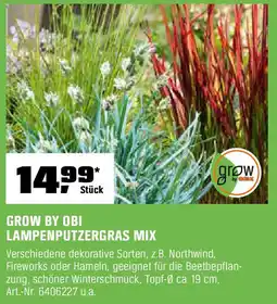 OBI GROW BY OBI LAMPENPUTZERGRAS MIX Angebot