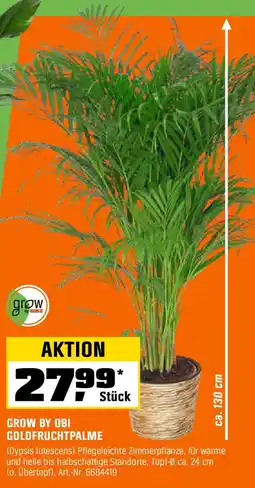 OBI GROW BY OBI GOLDFRUCHTPALME Angebot