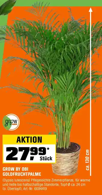 OBI GROW BY OBI GOLDFRUCHTPALME Angebot