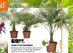 OBI GROW BY OBI PALMENMIX Angebot