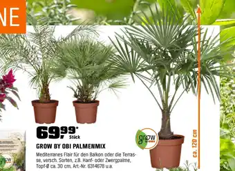 OBI GROW BY OBI PALMENMIX Angebot