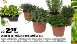 OBI GROW BY OBI KRÄUTER UND GEMÜSE MIX Angebot