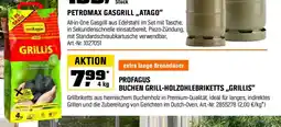 OBI PROFAGUS BUCHEN GRILL-HOLZOHLEBRIKETTS ,,GRILLIS" Angebot