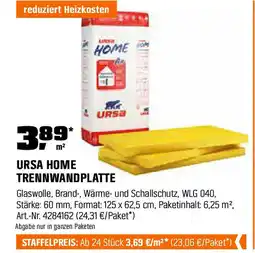 OBI URSA HOME TRENNWANDPLATTE Angebot