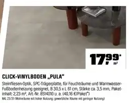 OBI CLICK-VINYLBODEN ,,PULA" Angebot