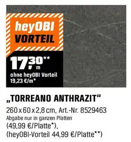 OBI ,,TORREANO ANTHRAZIT" Angebot
