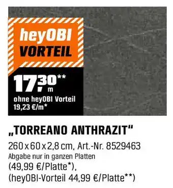 OBI ,,TORREANO ANTHRAZIT" Angebot