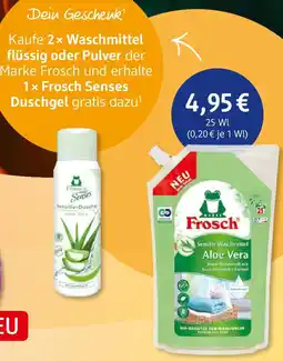 dm drogerie Frosch Waschmittel flüssig oder Pulver Angebot