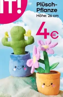 PEPCO Plüsch Pflanze Angebot