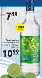 CITTI Markt Canario Cachaça Angebot