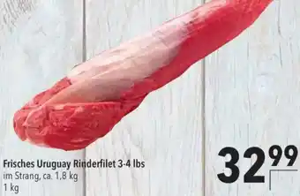 CITTI Markt Frisches Uruguay Rinderfilet 3-4 lbs Angebot