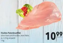 CITTI Markt Frisches Putenbrustfilet Angebot