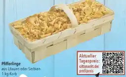 CITTI Markt Pfifferlinge Angebot