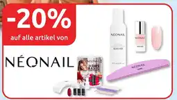 Budni 24,99 20% rabatt Angebot