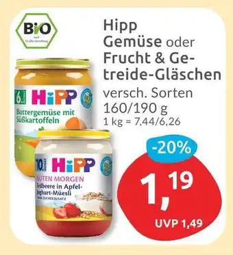 Budni Hipp buttergemüse mit süßkartoffeln Angebot