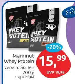 Budni Mammut whey protein vanilla Angebot