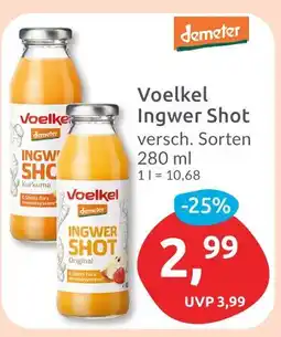 Budni Voelkel ingwer shot Angebot