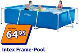 Action Intex Frame-Pool Angebot