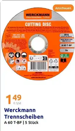 Action Werckmann trennscheiben Angebot