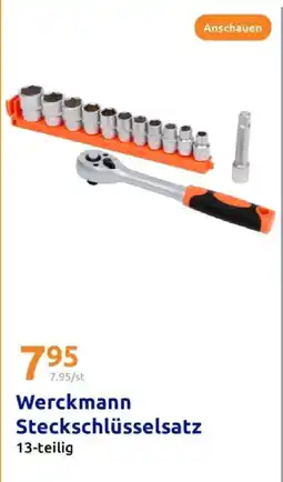 Action Werckmann steckschlüsselsatz Angebot