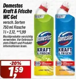 Simmel Domestos Kraft & Frische WC Gel Angebot