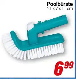 CENTERSHOP Poolbürste 21 x 7 x 11 cm Angebot
