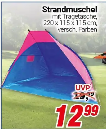 CENTERSHOP Strandmuschel Angebot