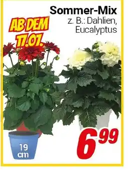CENTERSHOP Sommer-Mix Angebot