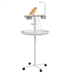 Netto Marken-Discount PawHut Vogelständer Stahl, Tanne Angebot