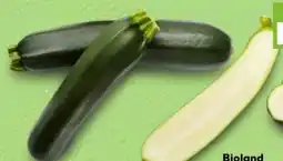 Kaufland Bio-Zucchini Angebot