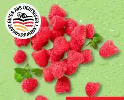 Kaufland Himbeeren Angebot