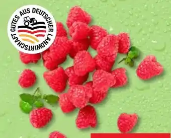 Kaufland Himbeeren Angebot