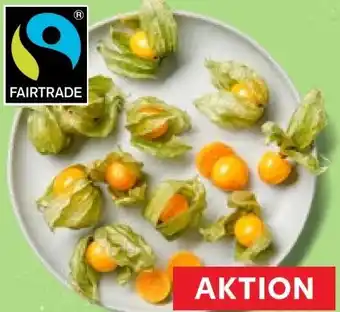 Kaufland Physalis Angebot