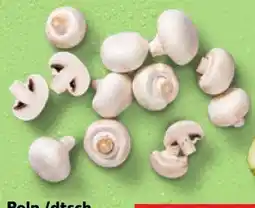 Kaufland Kulturchampignons Angebot