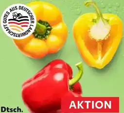 Kaufland Paprika Rot Angebot