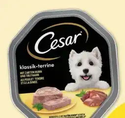 Fressnapf Cesar Klassik-Terrine Hundenahrung Angebot
